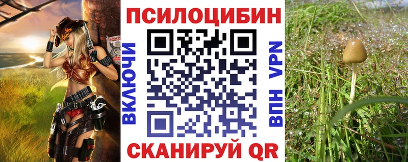 что такое наркотик  Кисловодск  Галлюциногенные грибы Cubensis 