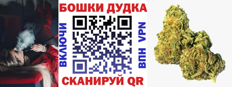 Канабис индика  Кисловодск 